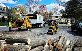 Best Sod Installation  in English Creek, NJ