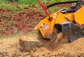 Best Hazardous Tree Removal  in English Creek, NJ